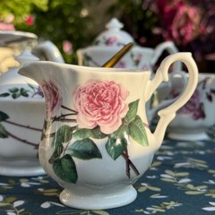 David Austen Roses Sugar & Cream