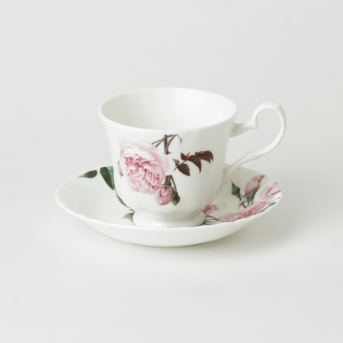 David Austen Roses Anne Teacup & Saucer (Box of 6)