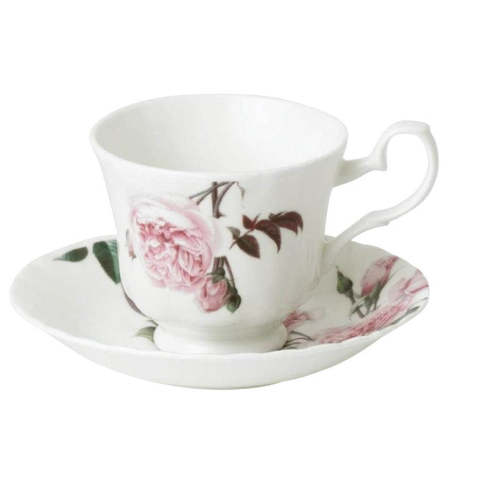 David Austen Roses Anne Teacup & Saucer (Box of 6)