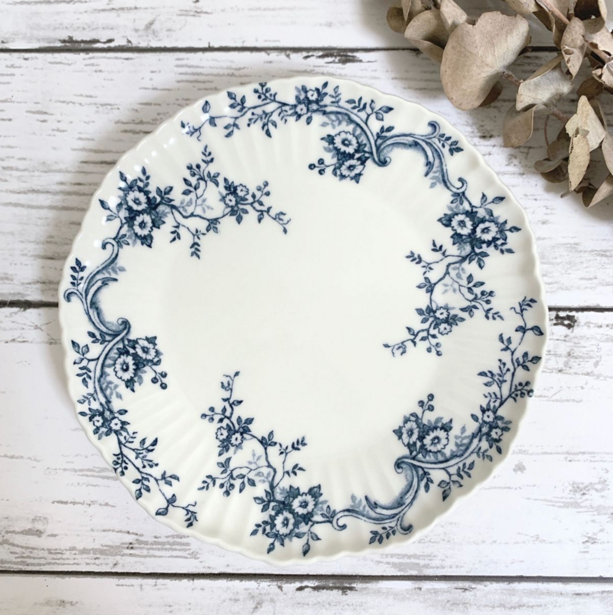 Audrey Plate