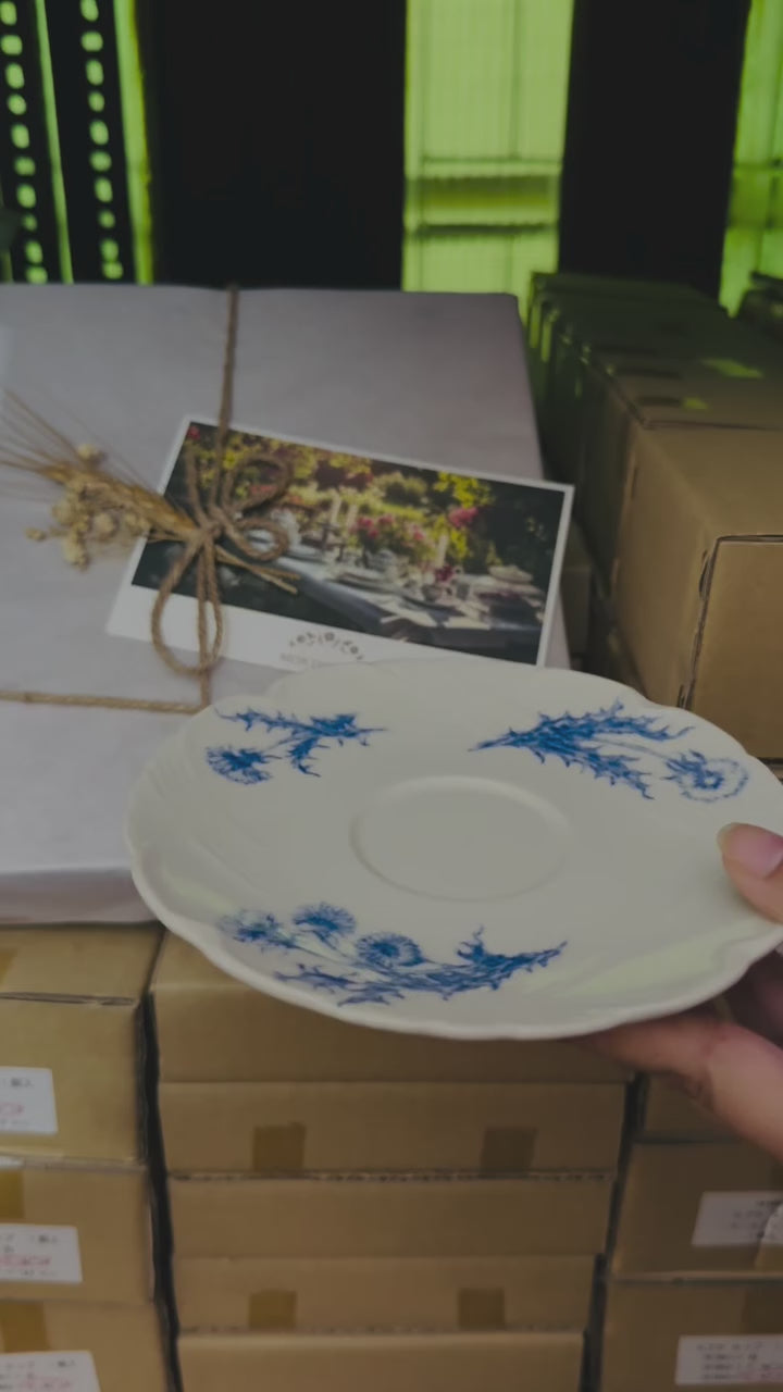 Lapaix Cup and Saucer